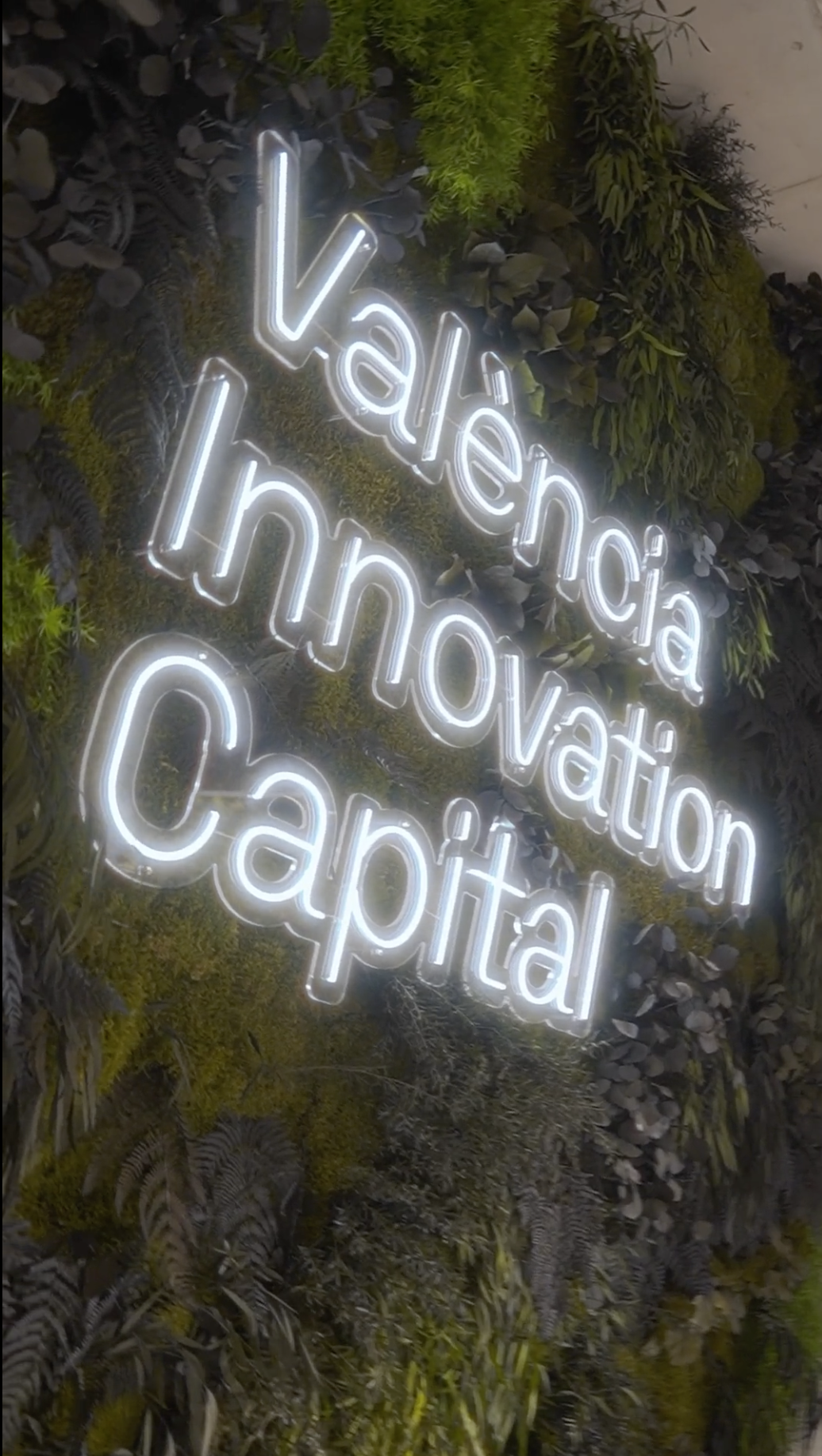 Valencia Innovation Capital